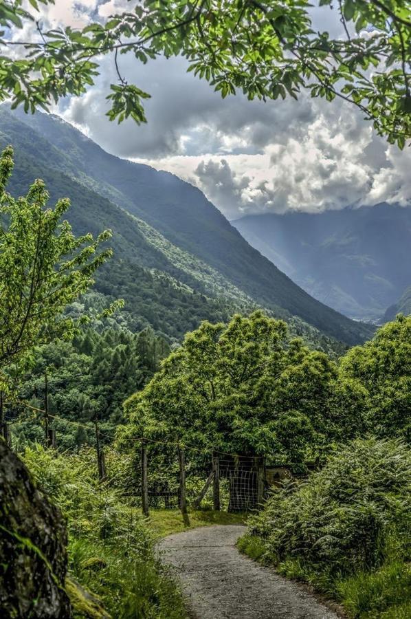 Roveredo Grotto Zendralli المظهر الخارجي الصورة